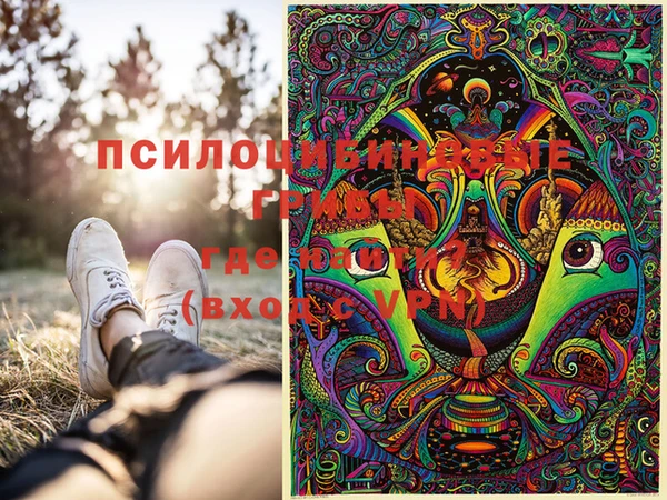 мет Абаза