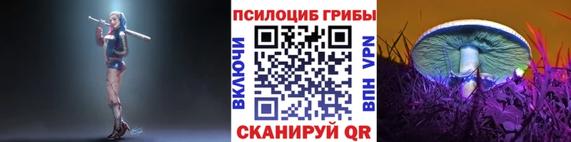 закладки  Кандалакша  Псилоцибиновые грибы GOLDEN TEACHER 