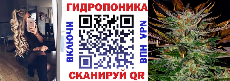 Бошки Шишки Amnesia Кандалакша